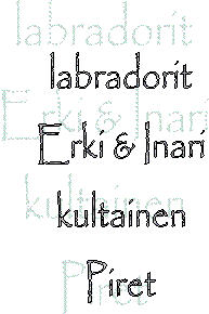 Erki
&
Noora